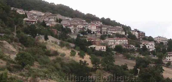 Plataci Plataci